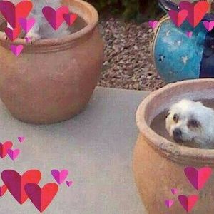 Meet your Posher, Traci